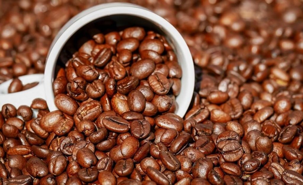 Conoscete questi 16 tipi di varietà di piante di caffè?